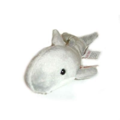 Grey Sea-Ya, Shark, Sea Creature