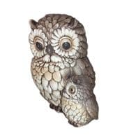 Hooters Owl and Owlet