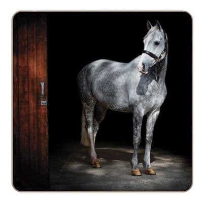 Horse Set of 4 Coasters