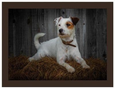 Jack Russell Faux Leather Lap Tray by Rural Roots