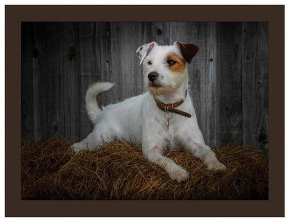 Jack Russell Faux Leather Lap Tray by Rural Roots