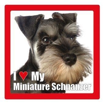 Miniature Schnauzer Square Ceramic Coaster