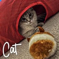 Red Polka Dot Cat Tunnel by Ancol