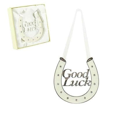 Silver Cream Coloured Good Luck Horseshoe
