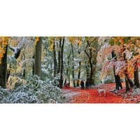 Snow in Autumn Jigsaw Puzzle 636 Piece | Veronika K Ko | Gibsons Premium Puzzle