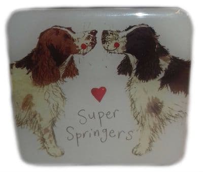 Super Springers Fridge Magnet