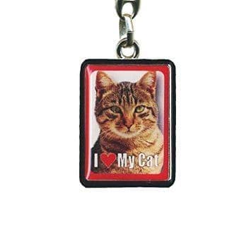 Tabby Cat Metal Keyring