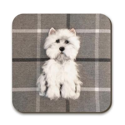 Westie Coaster by Sharon Salt