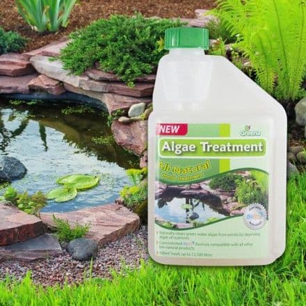 All Natural Pond Algae Treatment