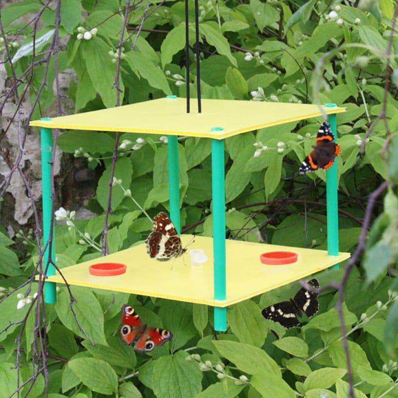 Butterfly Feeder Half Price Only