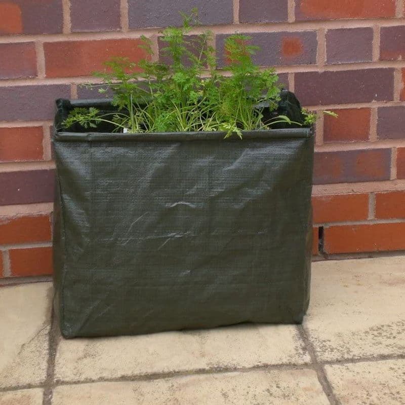 Carrot Planters Only