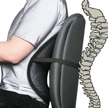 Mesh Lumbar Support