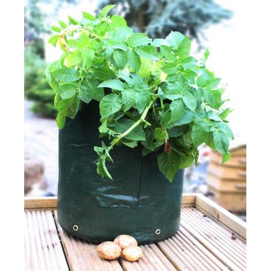 Potato Planter