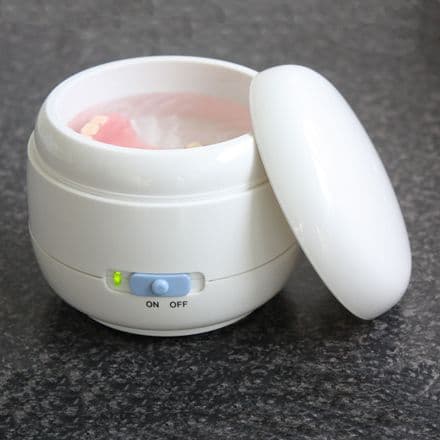 Sonic Denture Cleaner