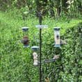 Wild Bird Feeding Station