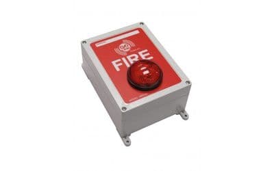 HOWLER GOLINK VISUALINK WITH BUZZER