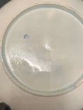 Antique 18th Century First Period Worcester Dr Wall Tea Bowl & Saucer Pagoda - 375790306889