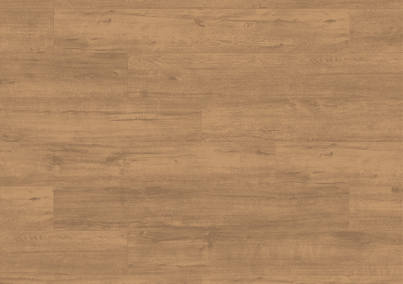 8mm Gold Apollo Oak