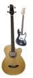 Bass Guitars