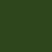 Citadel 21-14 Castellan Green