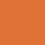 Citadel 22-03 Troll Slayer Orange