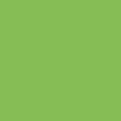 Tamiya 81515 X-15 Light Green