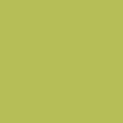 Tamiya 81704 XF-4 Yellow Green
