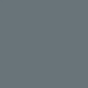 Tamiya 81766 XF-66 Light Grey