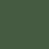 Tamiya 81767 XF-67 NATO Green