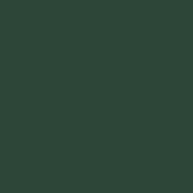 Tamiya 81770 XF-70 IJN Dark Green 2