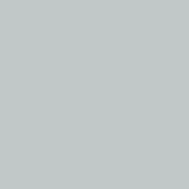 Tamiya 81780 XF-80 Royal Light Gray