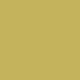 Tamiya 81788 XF-88 Dark Yellow 2