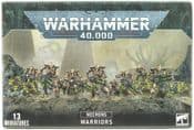 Warhammer 49-06 Warriors