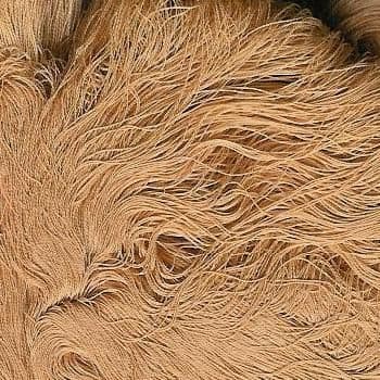 2/40c.c. Gassed, Combed Mercerized Cotton - Golden Plum - 250g cone