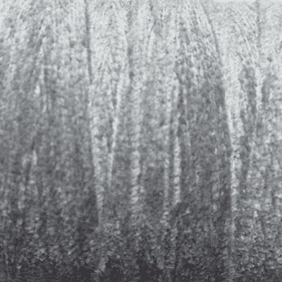 26. Seal - Cotton Chenille