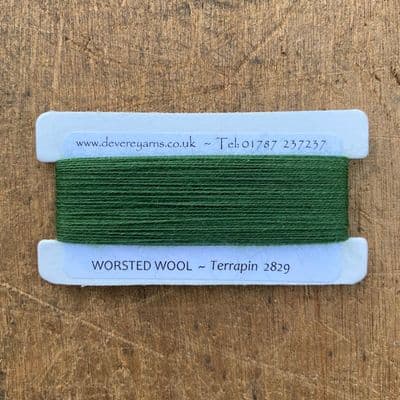 2829 Terrapin - Worsted Wool - Embroidery Thread
