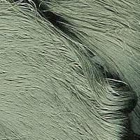 60/66 Pure Silk Organzine - Sage Green