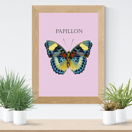 Art Print - Butterfly
