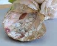 Natural Shell Jewellery Dish  with Dried Flower Design