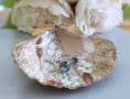 Natural Shell Jewellery Dish  with Dried Flower Design