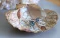 Natural Shell Jewellery Dish  with Dried Flower Design