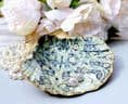 Natural Shell Jewellery Dish  with William Morris Pimpernel Design