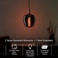 Onyx Smoked Filament Bulb