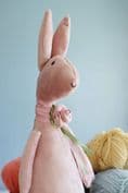 Pink Velvet Rabbit