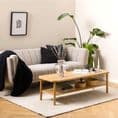 Rectangular Coffee Table in Oak