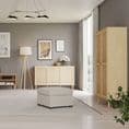 Storage Cabinet in rattan  style