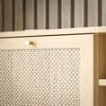 TV Unit with 1 door in Rattan finsih