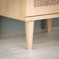TV Unit with 1 door in Rattan finsih