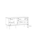 TV Unit with 1 door in Rattan finsih