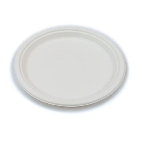 Bagasse White 10